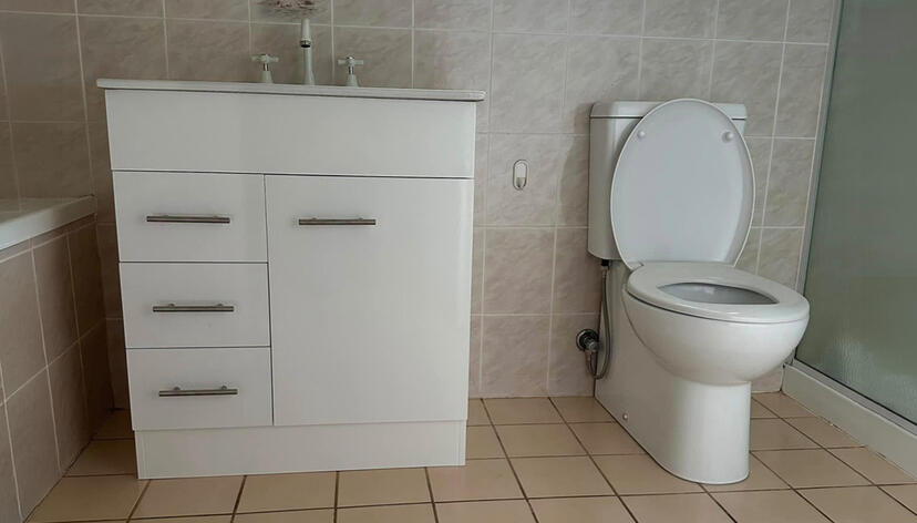 Toilet and Vanity Installation